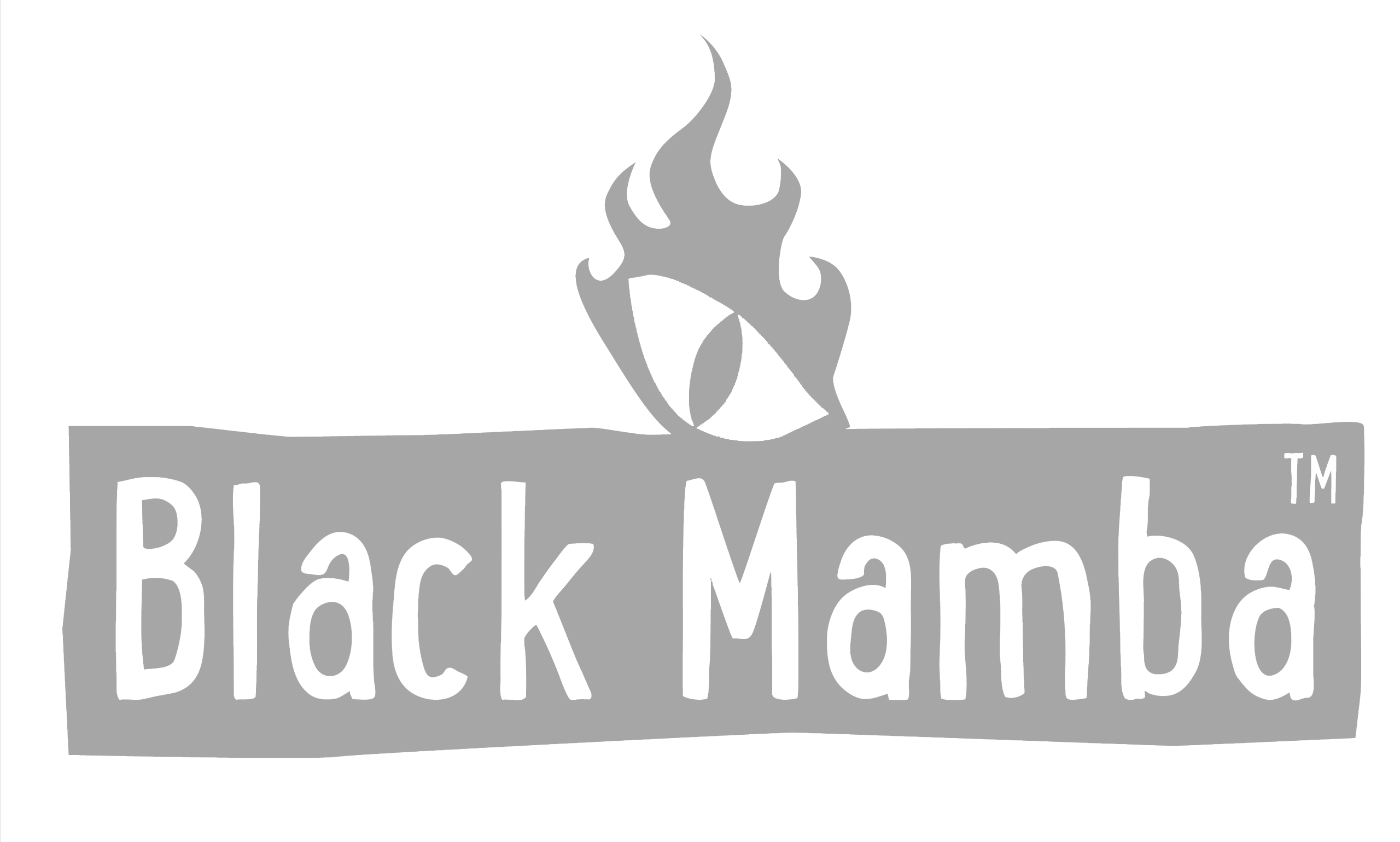 Black-Mamba-LOGO-COLOUR-high-res-scaled copy off